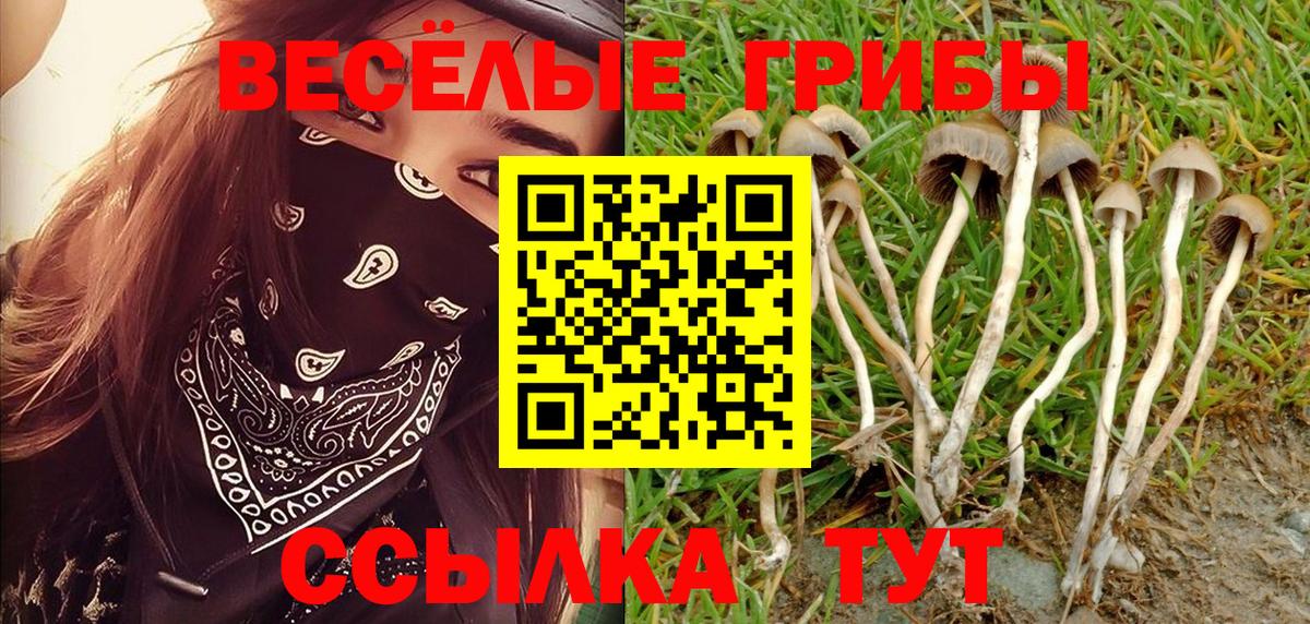 Галлюциногенные грибы ЛСД  наркотики  Коломна  Вход с VPN 
